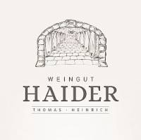 Logo Haider